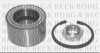 PSA 11062176 Wheel Bearing Kit